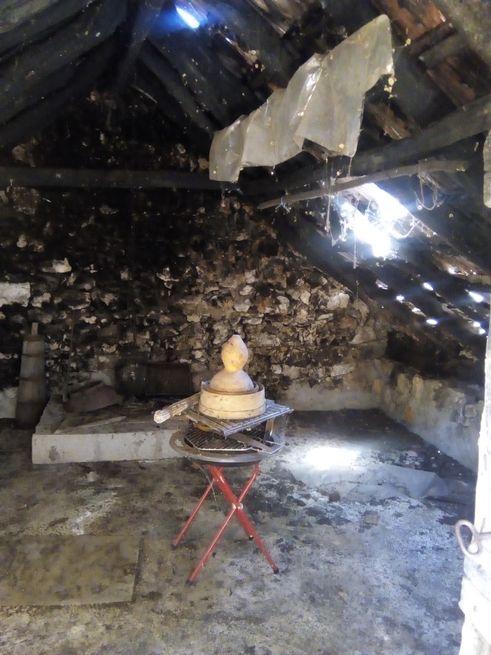 IMG_20160717_143155 (1)