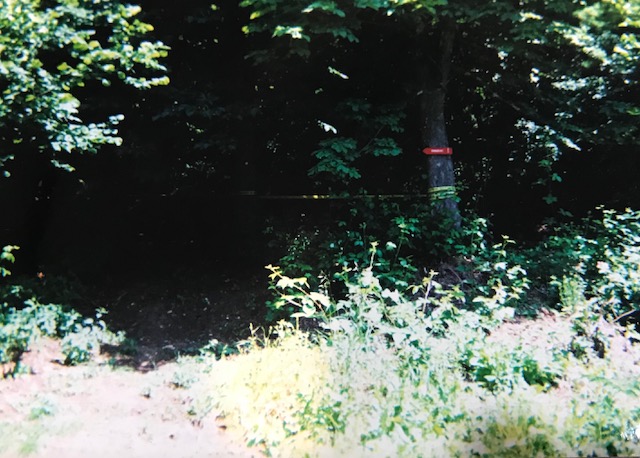 yellow tape and mine sign